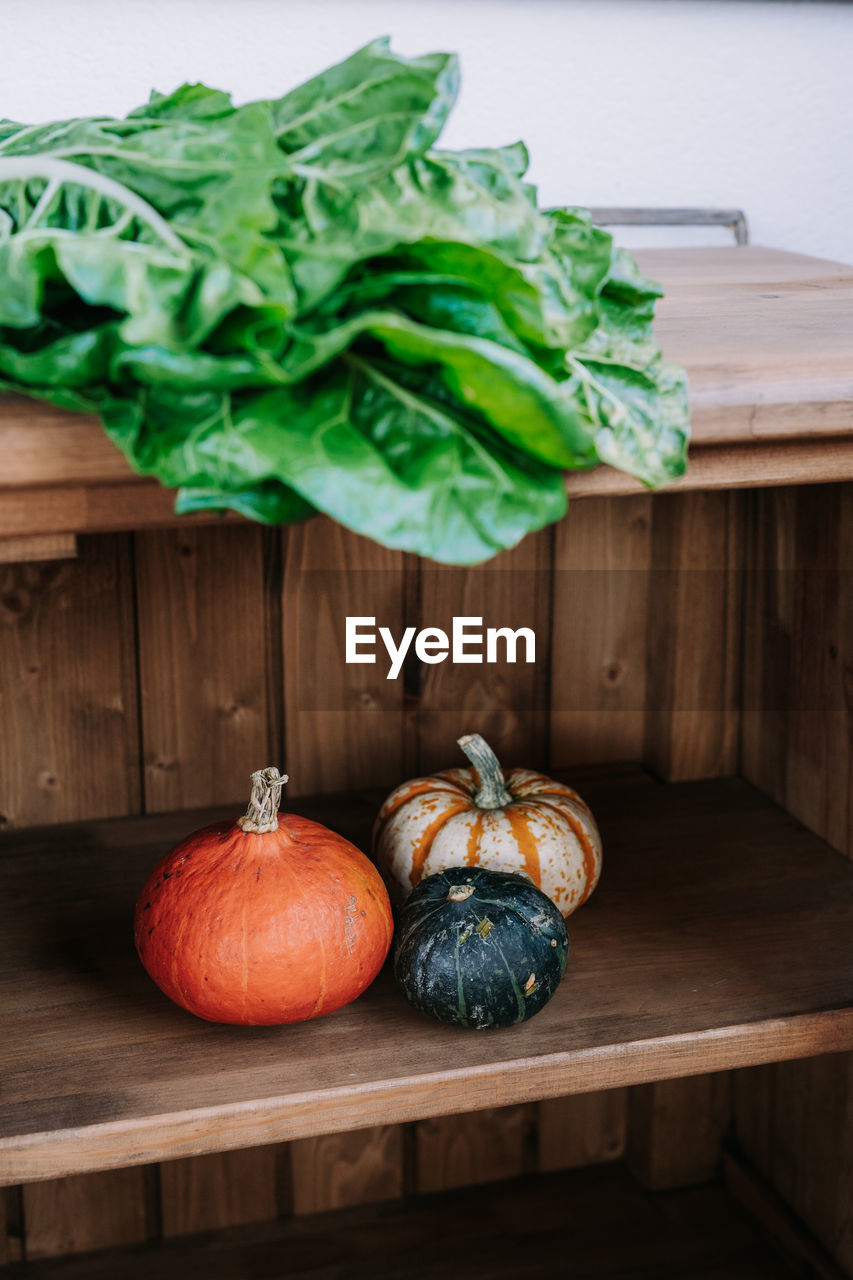 Various types of fresh pumpkins arranged near bunch of green chard leaves on wooden shelf