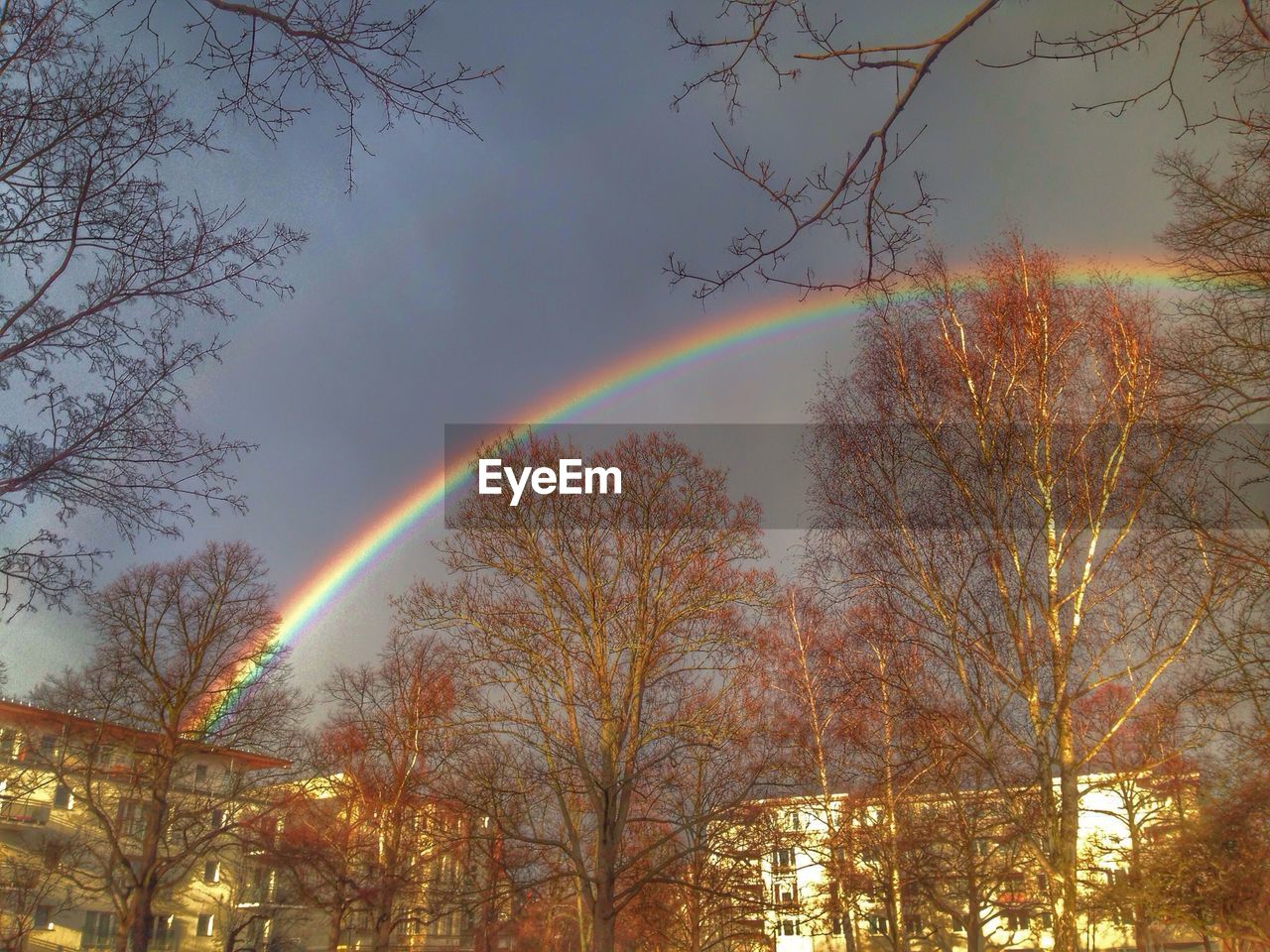 Scenic view of rainbow over autumn trees in city