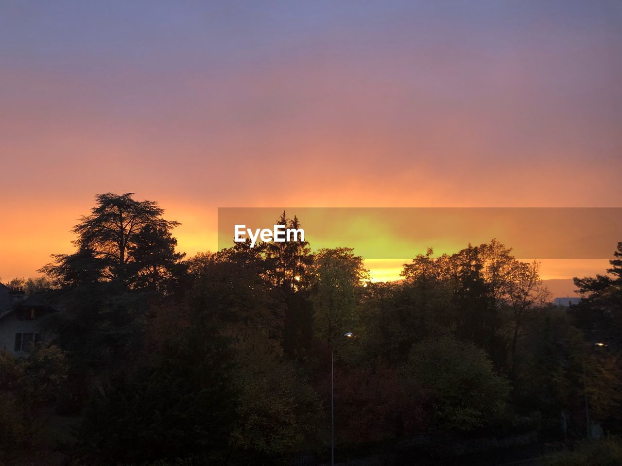 SILHOUETTE TREES AGAINST ORANGE SKY