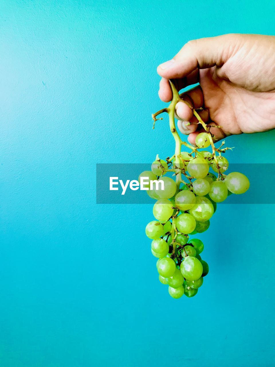 hand, green, healthy eating, food and drink, food, one person, holding, wellbeing, fruit, colored background, studio shot, flower, freshness, yellow, indoors, blue, organic, vegetable, produce, adult, blue background, copy space, grape, plant, green background, bunch, nature, close-up