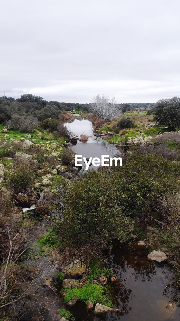 SCENIC VIEW OF RIVER FLOWING AMIDST TREES AGAINST SKY