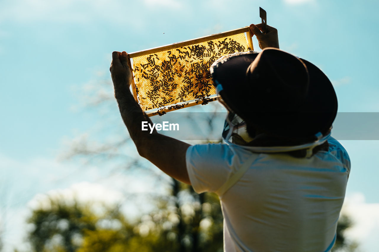 Low angle view of man holding woman against sky