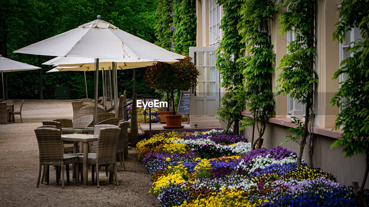 Potted plant on table by building