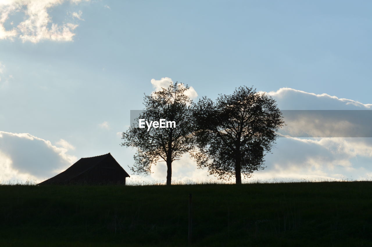 Silhouette tree on field against sky