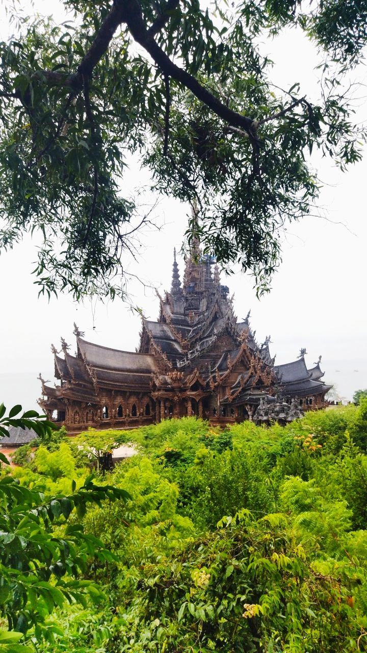 plant, tree, temple - building, architecture, religion, built structure, history, building, the past, belief, travel destinations, nature, ancient, building exterior, travel, place of worship, spirituality, tourism, pagoda, no people, tradition, sky, green, outdoors, growth, flower, environment, landscape, day, ancient civilization, beauty in nature, jungle, old, culture, garden, mansion