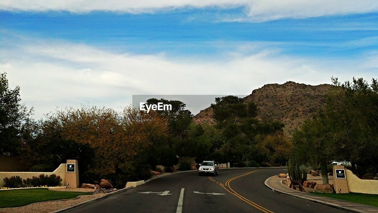 ROAD PASSING THROUGH TREES