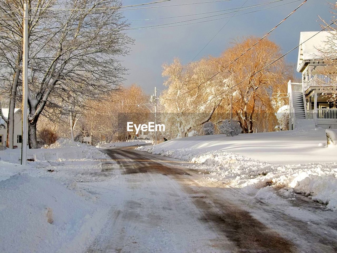 ROAD AMIDST BARE TREES DURING WINTER