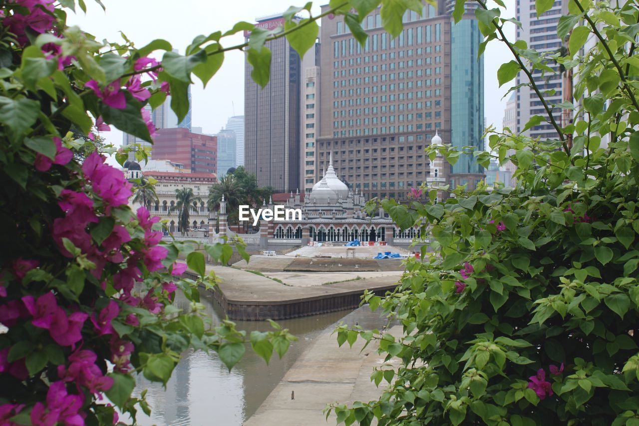 VIEW OF PLANTS WITH TREES IN FOREGROUND