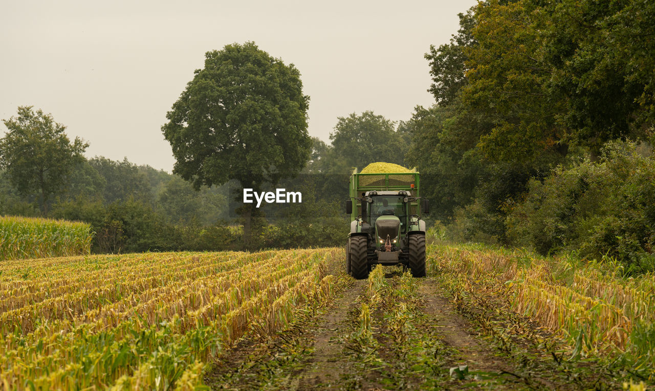 Agricultural machinery tractor and chopper during the corn harvest