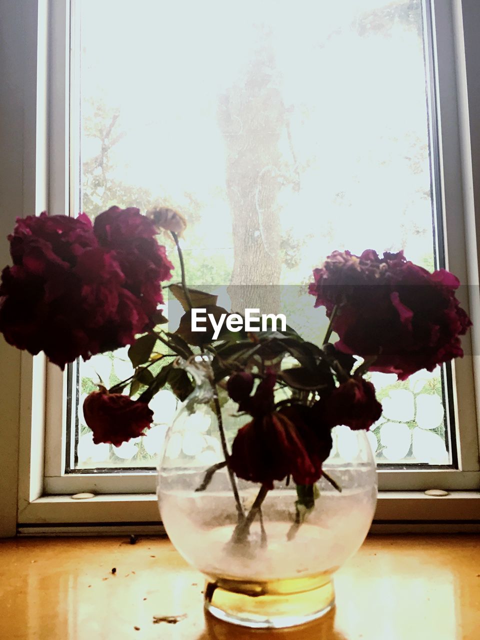 CLOSE-UP OF VASE ON WINDOW SILL