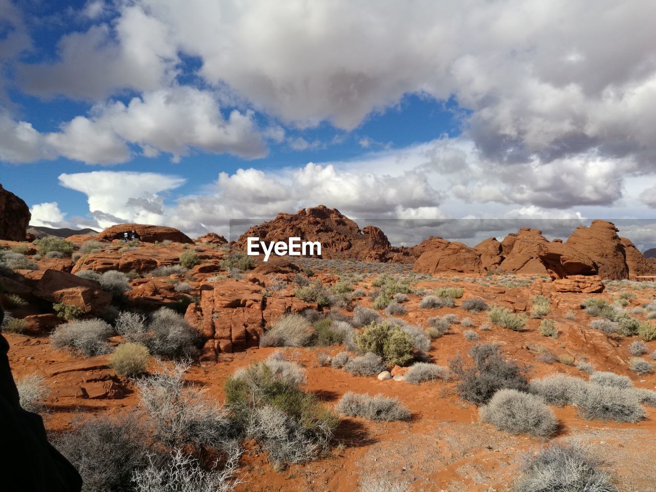 Rock formations and plants on landscape against cloudy sky