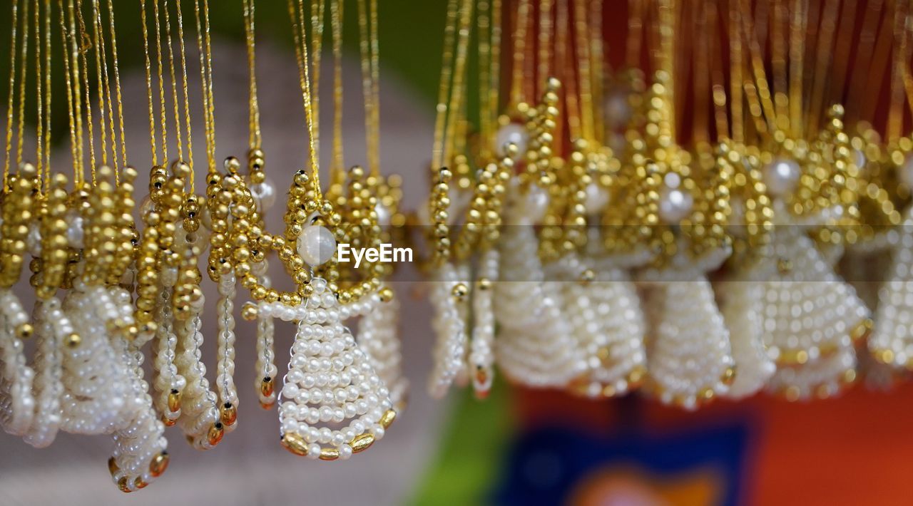 Close-up of flower hanging outdoors