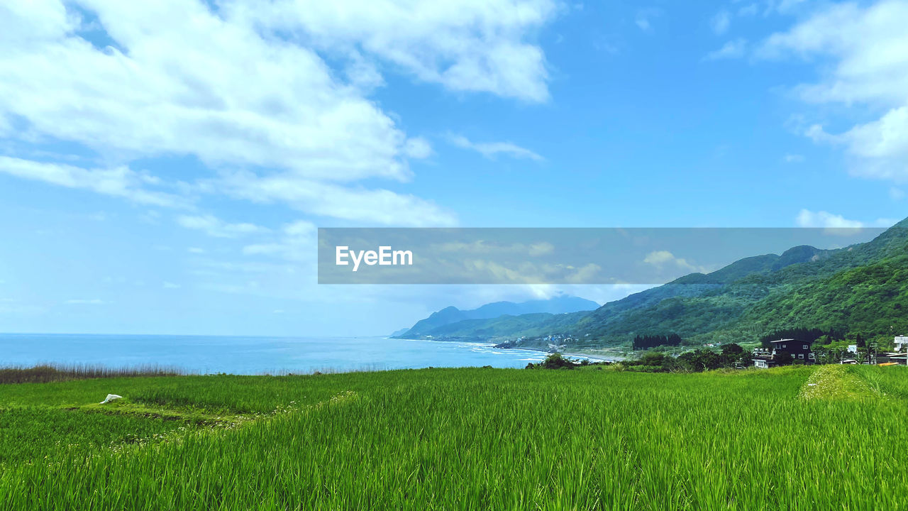 sky, land, landscape, scenics - nature, environment, grassland, plant, cloud, beauty in nature, nature, water, green, meadow, field, grass, rural scene, pasture, horizon, agriculture, plain, tranquility, tranquil scene, sea, mountain, no people, day, farm, rural area, crop, paddy field, outdoors, growth, travel, prairie, travel destinations, blue, natural environment, non-urban scene, tree, idyllic, beach, plateau, rice, rice paddy, tourism, food and drink