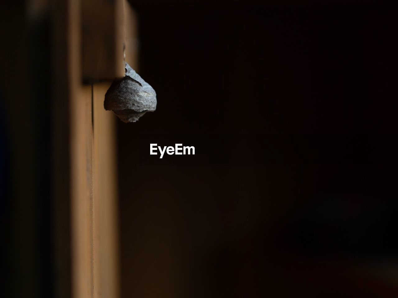 Close-up of metal on door in darkroom