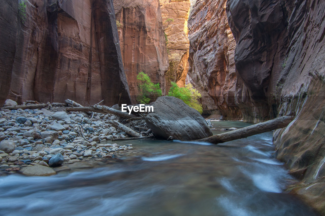 Natural landscape in autumn in the narrows at zion national park in usa