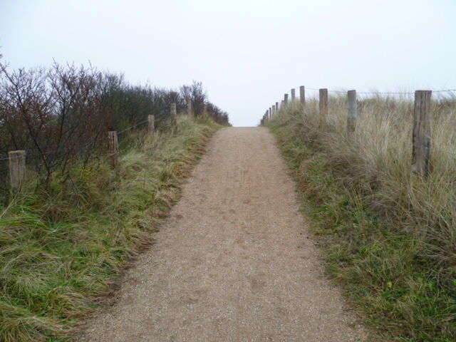 VIEW OF RURAL LANDSCAPE