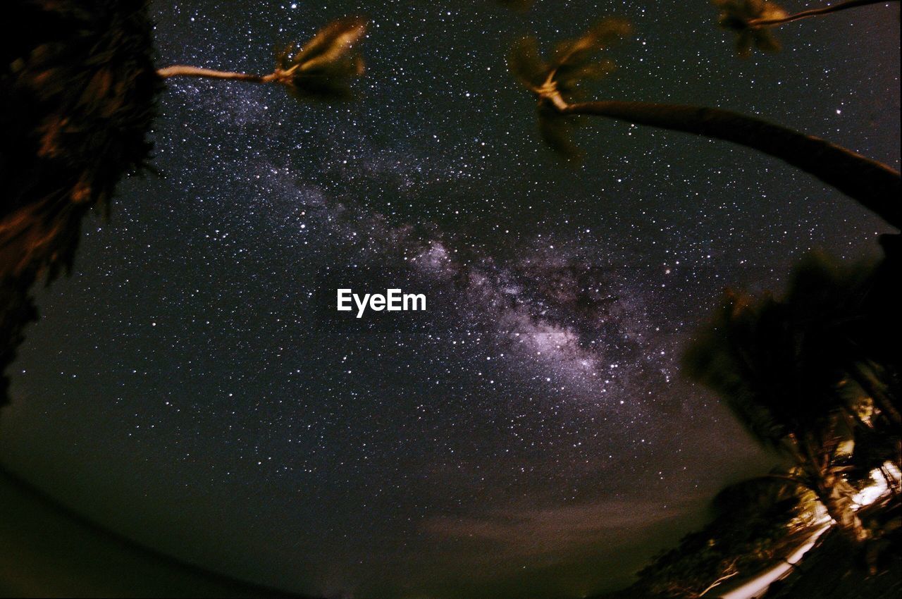 LOW ANGLE VIEW OF STAR FIELD AGAINST SKY