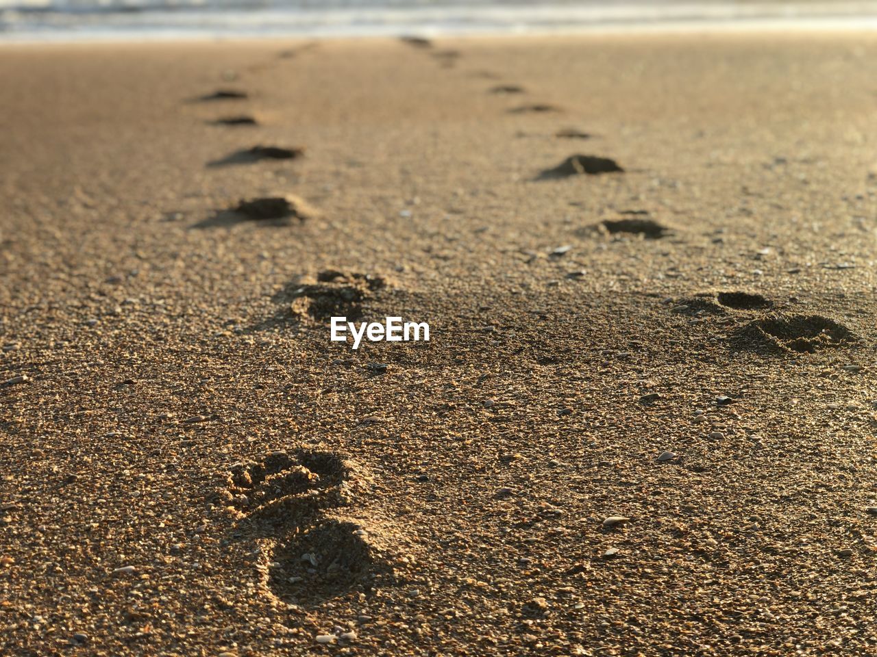 HIGH ANGLE VIEW OF FOOTPRINTS ON BEACH