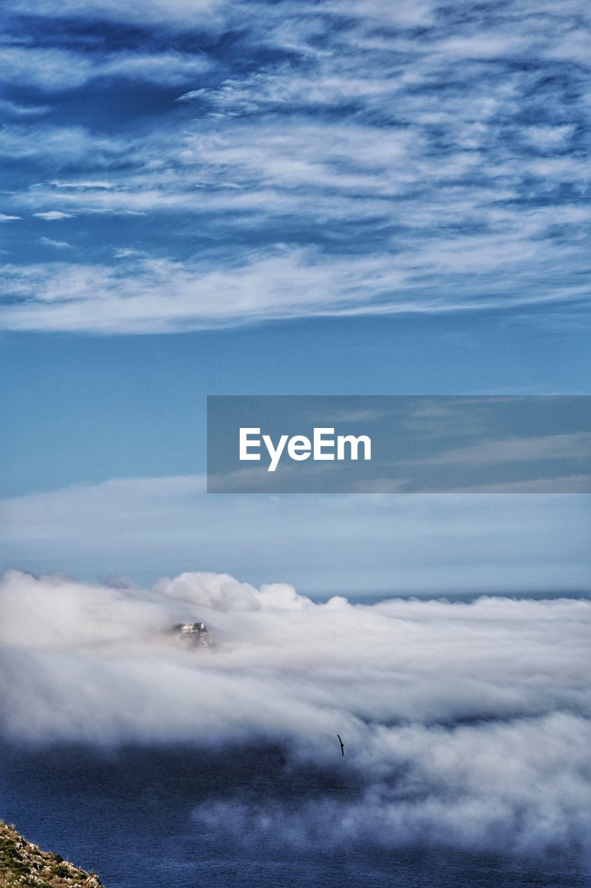 VIEW OF BIRD FLYING IN CLOUDS