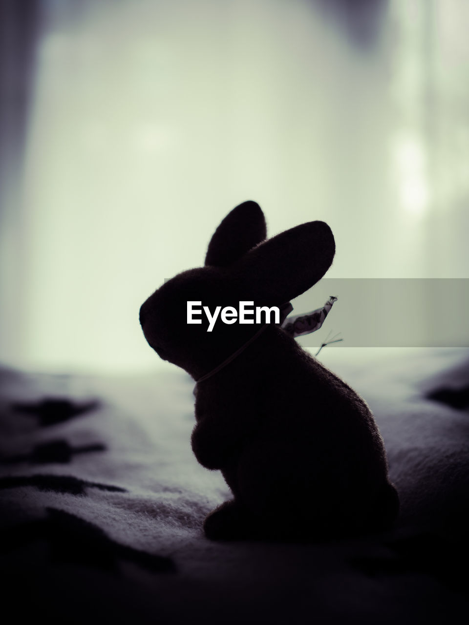 Close-up of silhouette easter bunny on bed