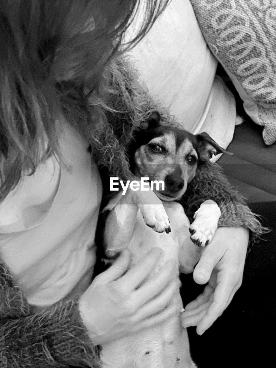 PORTRAIT OF DOG ON BLANKET