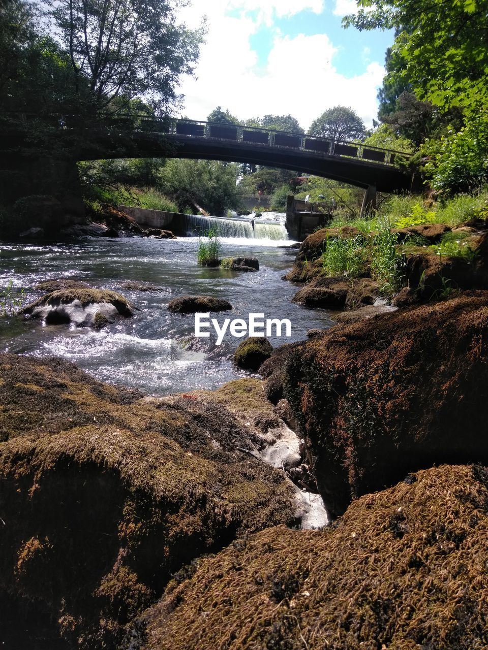 VIEW OF BRIDGE OVER RIVER