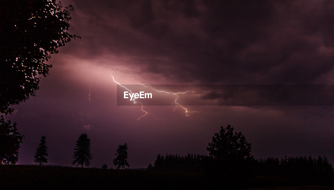 LIGHTNING OVER SILHOUETTE TREES AGAINST STORM CLOUDS