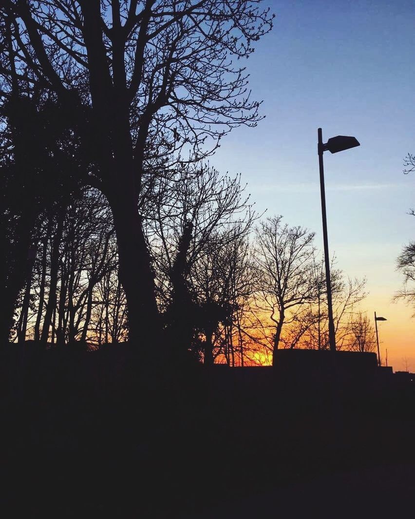 LOW ANGLE VIEW OF SILHOUETTE TREES AGAINST SKY AT SUNSET