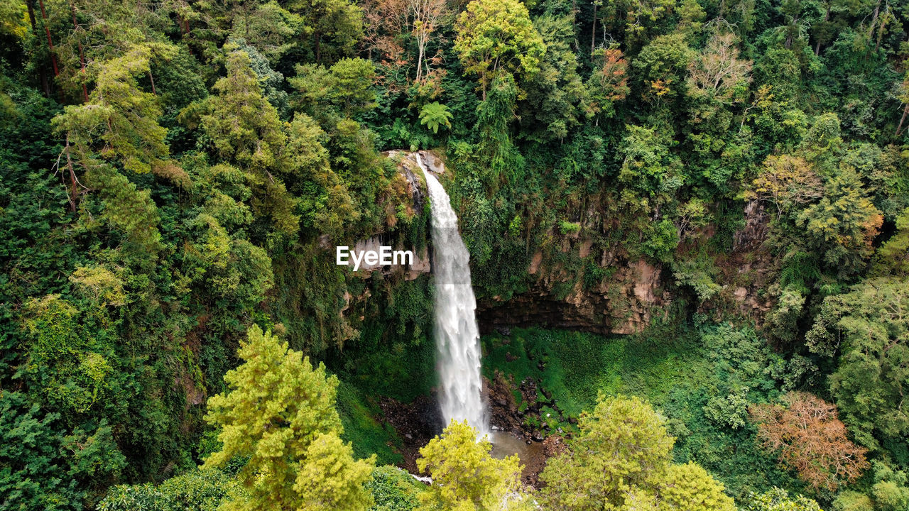 High angle view of waterfall in forest