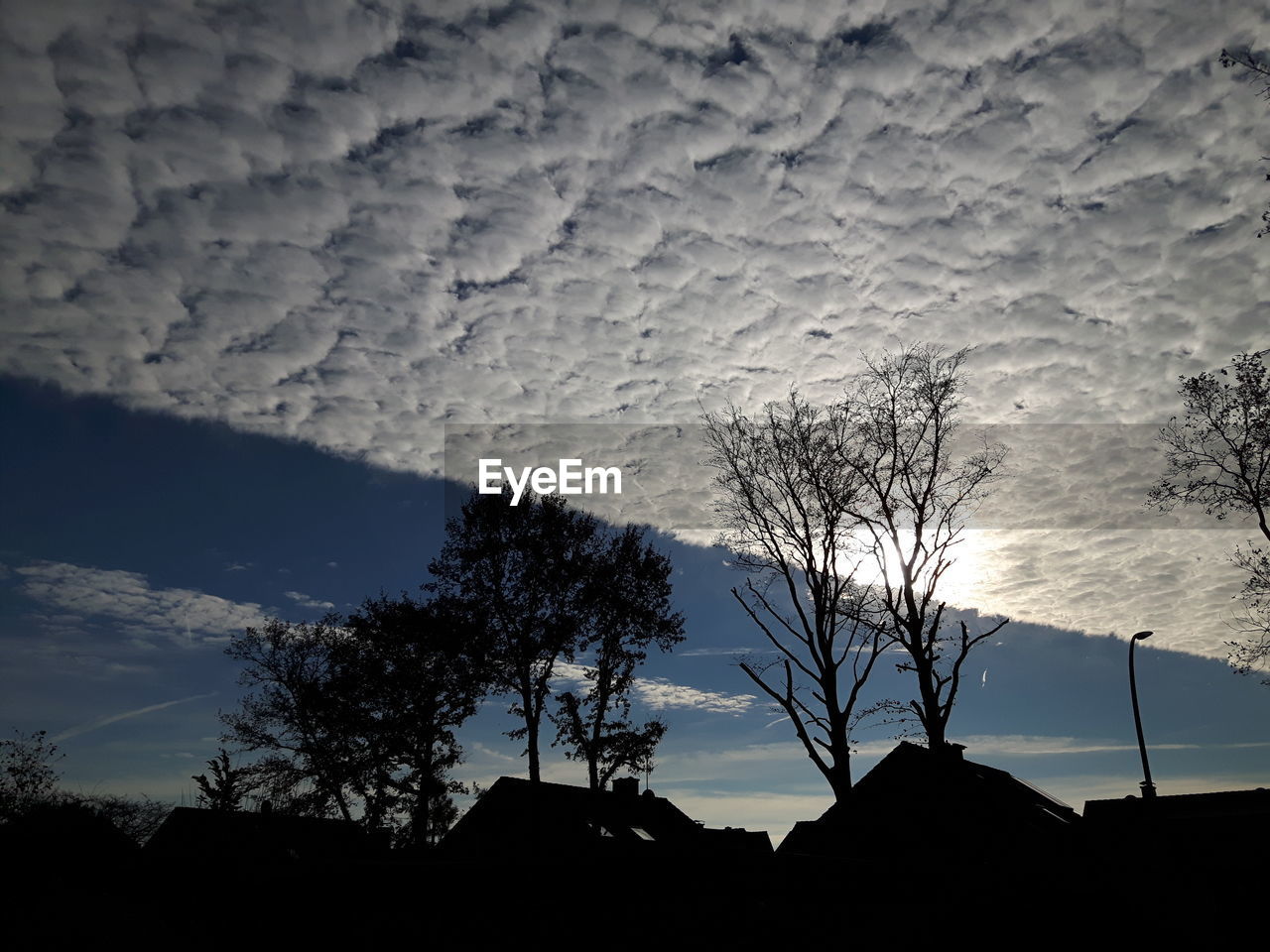 LOW ANGLE VIEW OF SILHOUETTE TREE AGAINST SKY