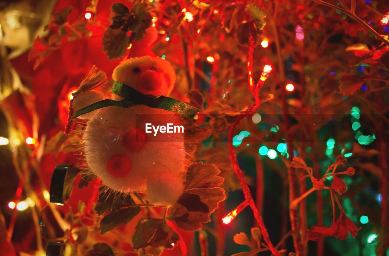 Close-up of toy hanging on illuminated christmas tree