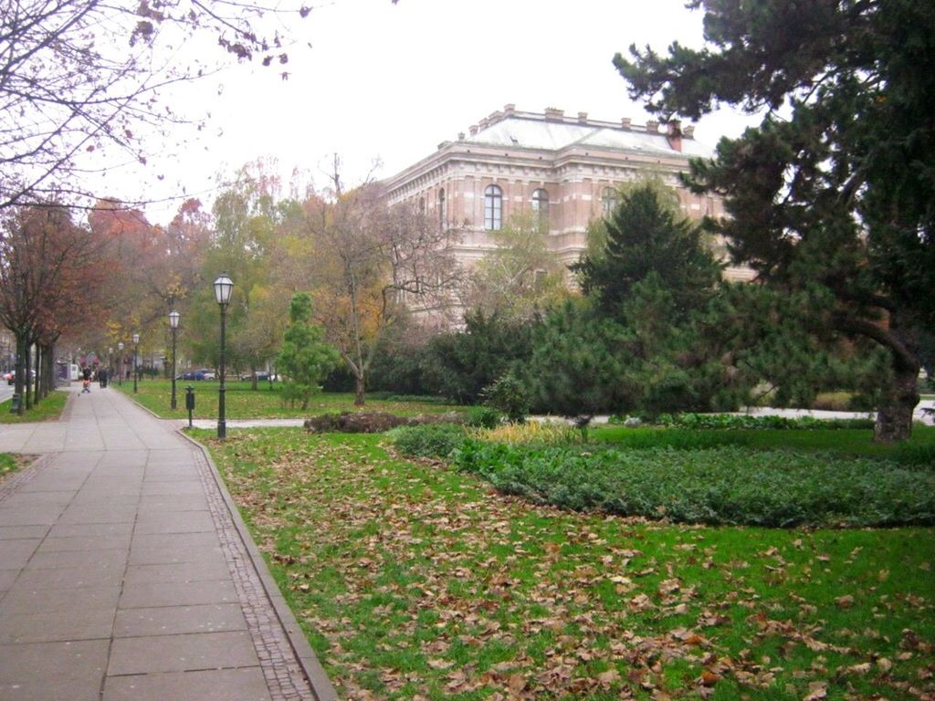 FOOTPATH LEADING TOWARDS TREES