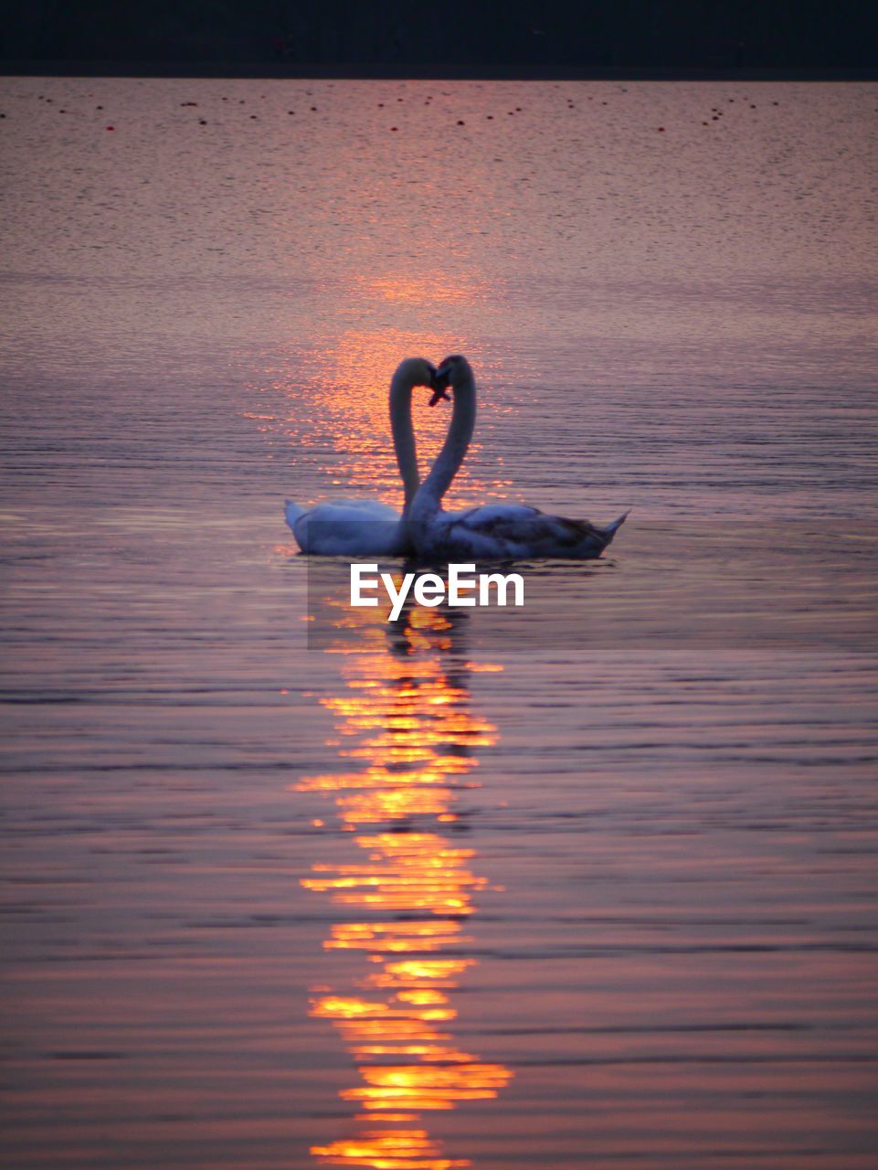 REFLECTION OF PERSON IN SEA