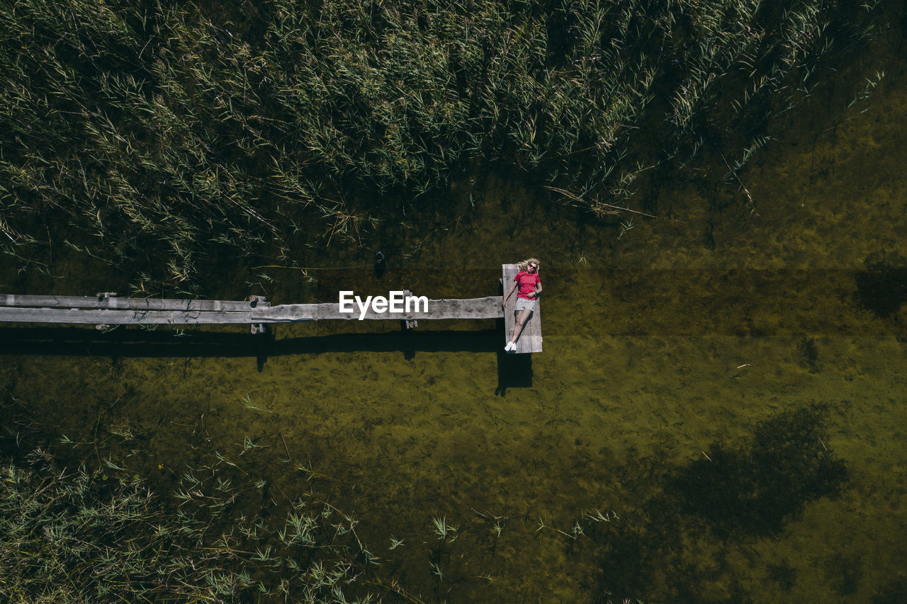 Aerial view of woman lying down by trees