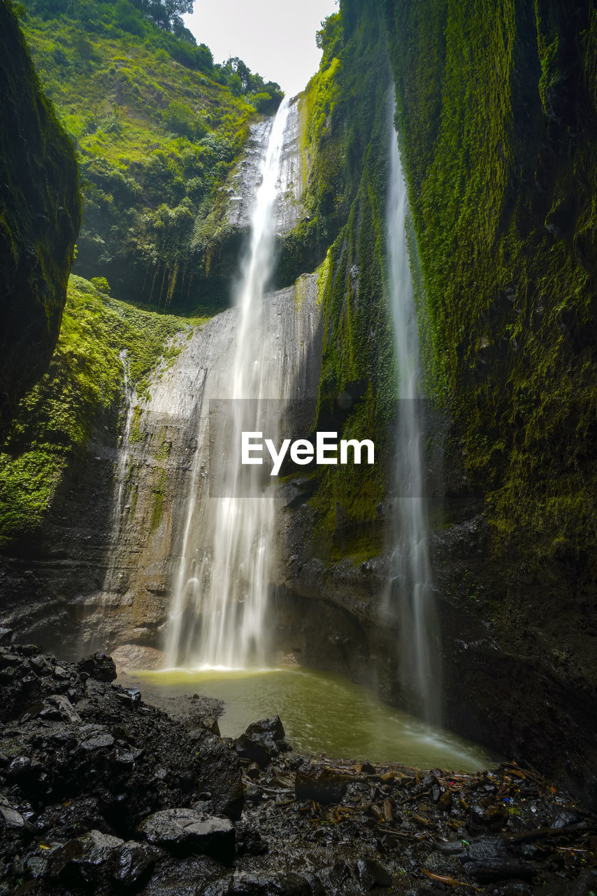 Scenic view of waterfall in forest at madakaripura waterfall in sukapura, probolinggo, indonesia