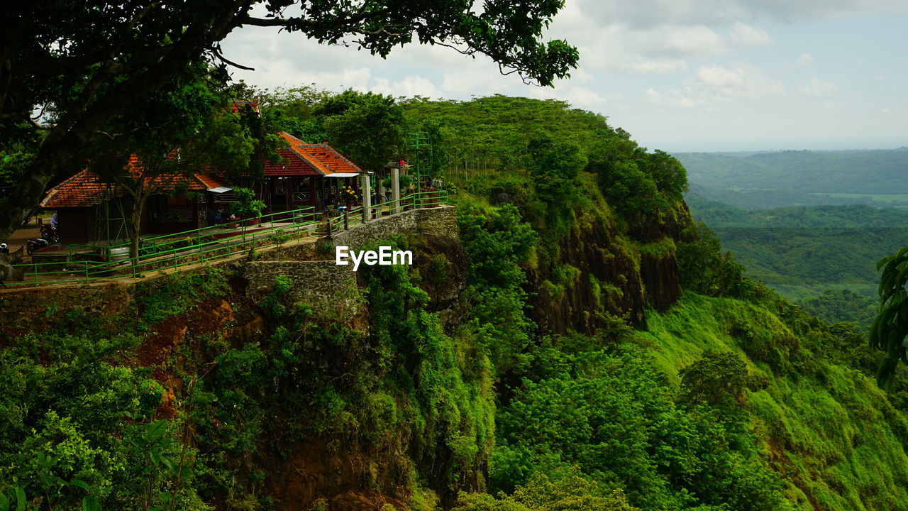 SCENIC VIEW OF VINEYARD AGAINST SKY