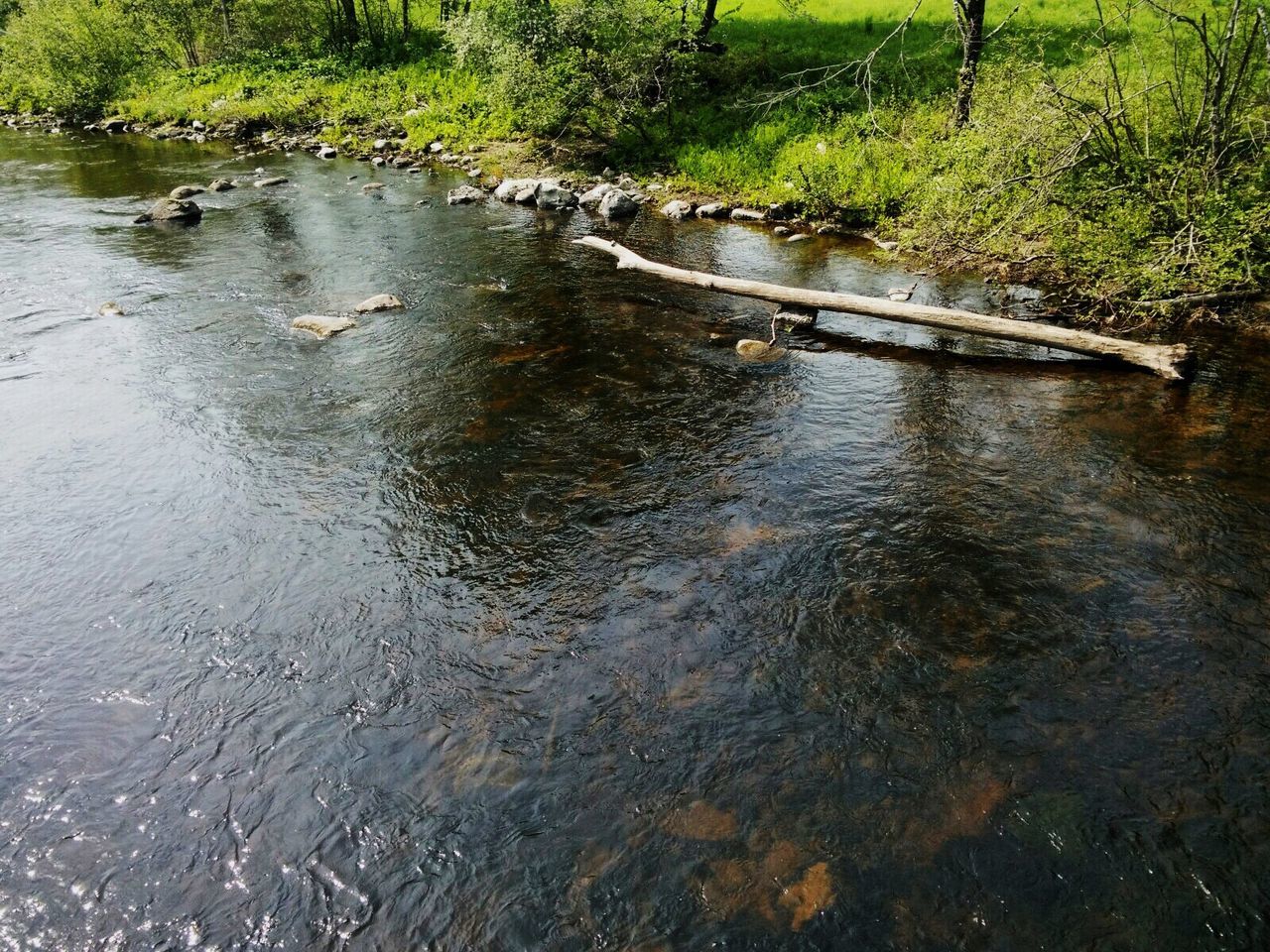 High angle view of river by field