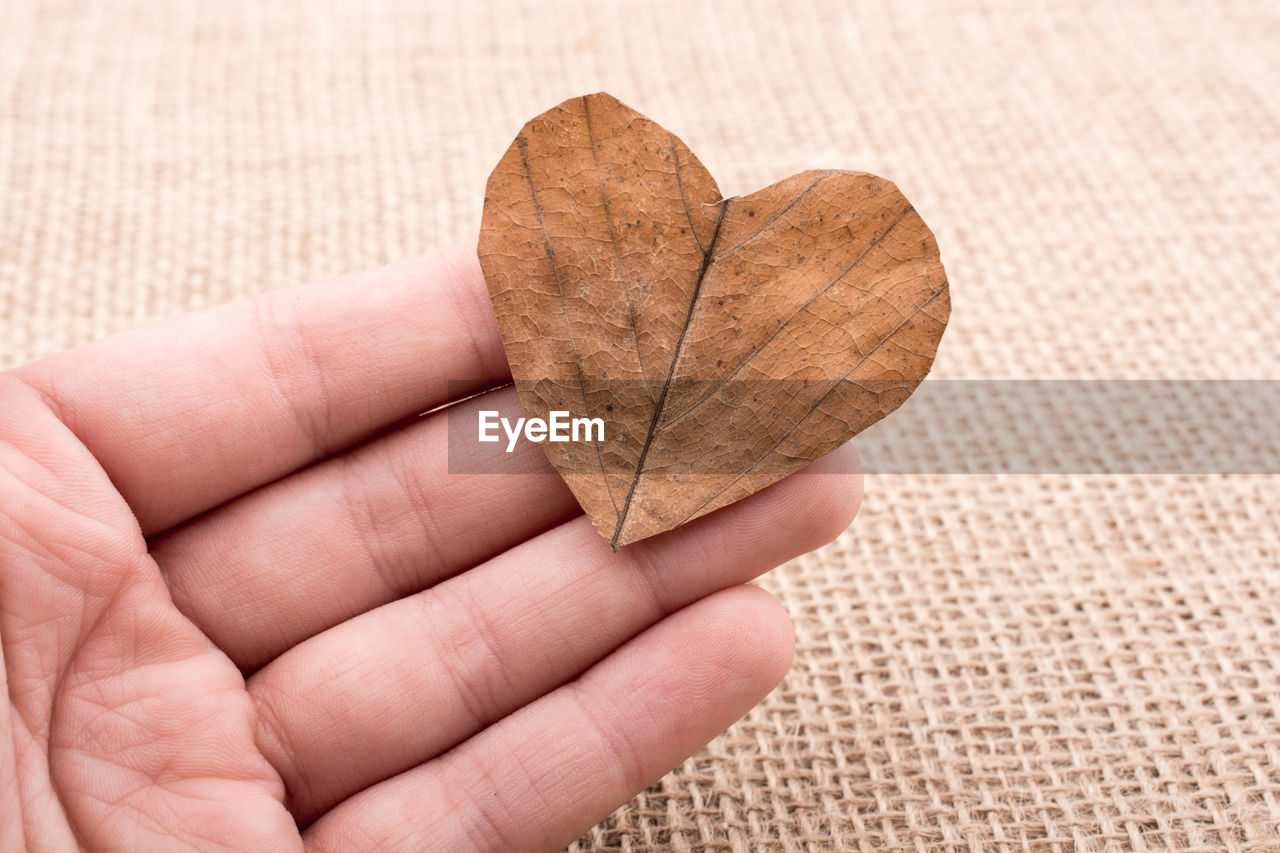 Close-up of human hand holding dry heart shape leaf on burlap