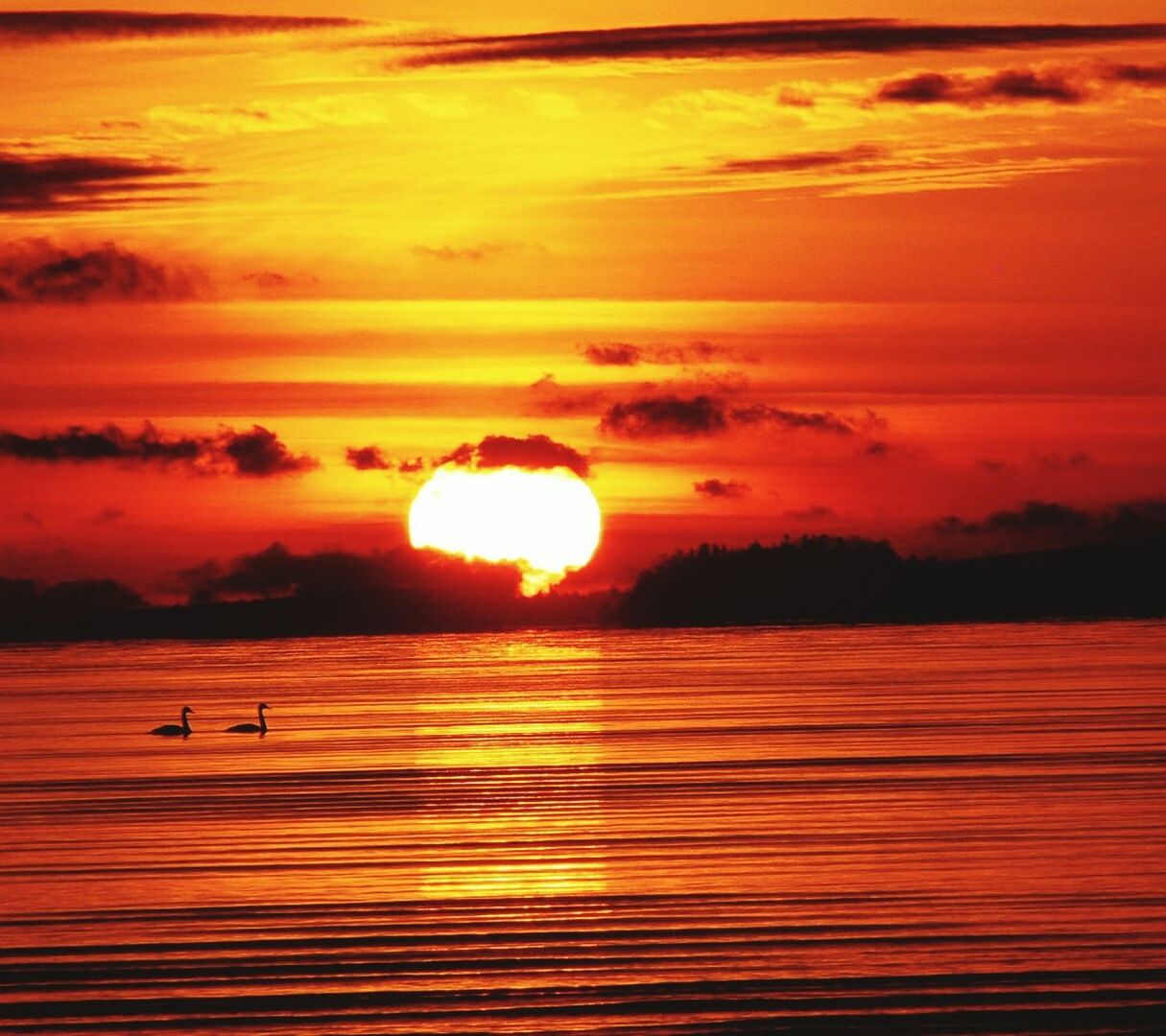 Scenic view of sea against orange sky