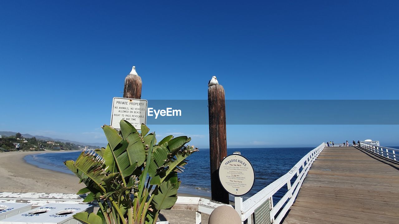 HIGH ANGLE VIEW OF SEAGULLS ON WOODEN POST AT BEACH AGAINST CLEAR BLUE SKY