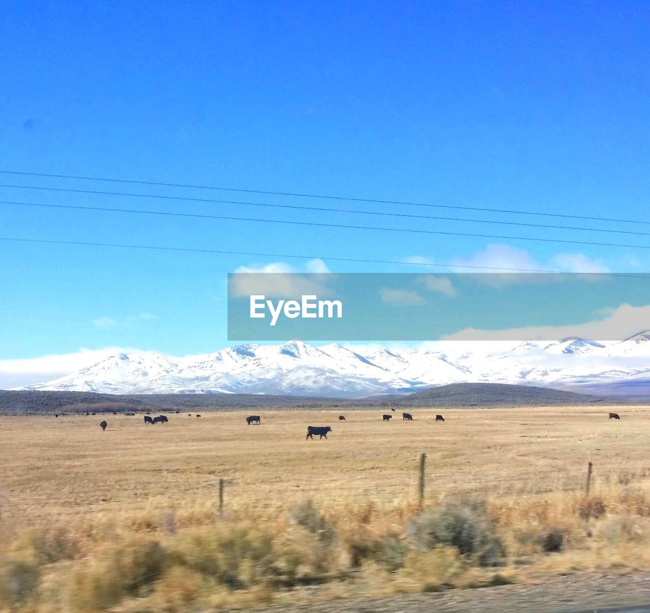 SCENIC VIEW OF LAND AGAINST SKY