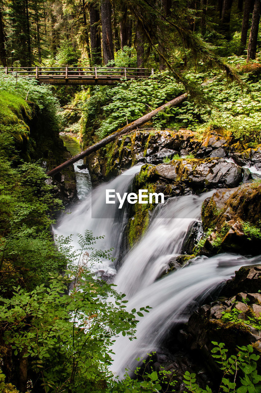 SCENIC VIEW OF WATERFALL