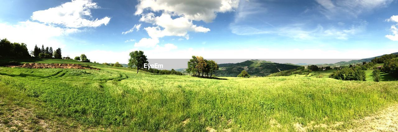 PANORAMIC VIEW OF FIELD AGAINST SKY