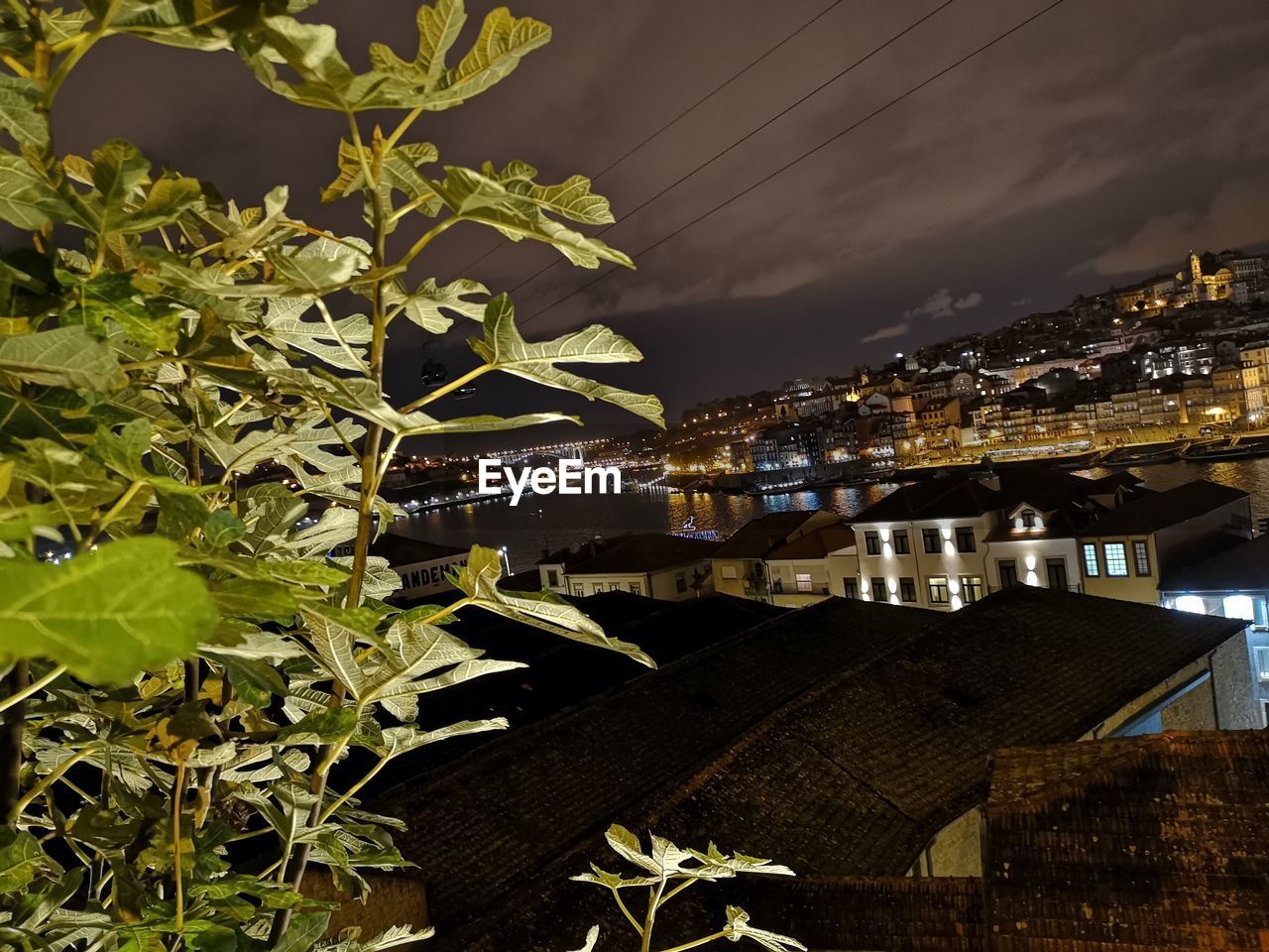 ILLUMINATED PLANT BY BUILDINGS AGAINST SKY AT NIGHT