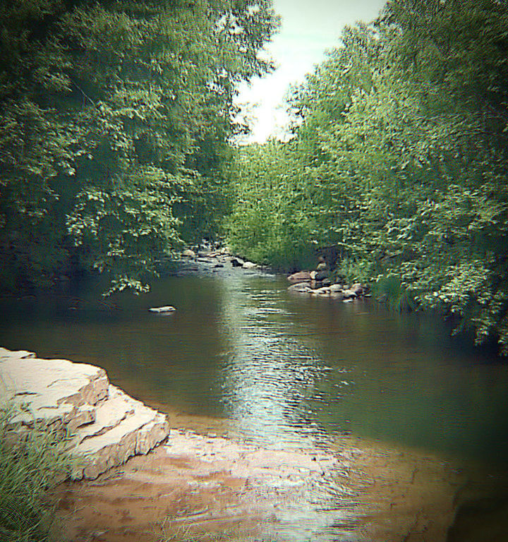 SCENIC VIEW OF RIVER WITH TREES IN BACKGROUND