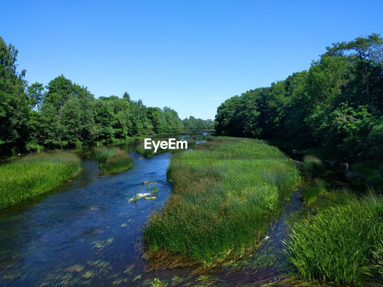 Scenic view of green landscape against clear blue sky