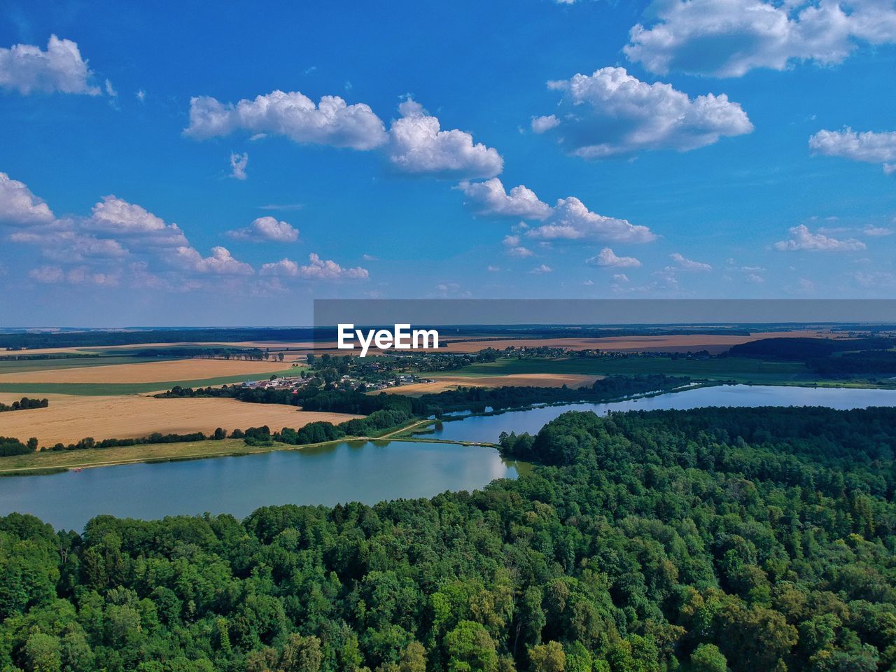 SCENIC VIEW OF TREES AGAINST SKY