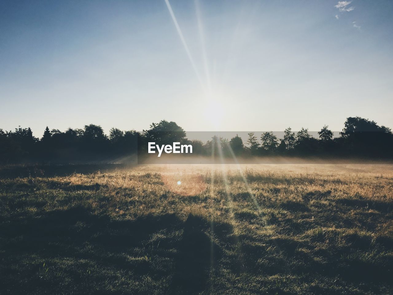 Sunlight streaming through trees on field against bright sun