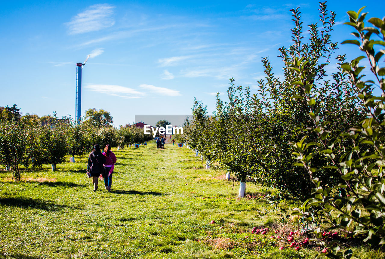 REAR VIEW OF PEOPLE WALKING ON FIELD AGAINST TREES