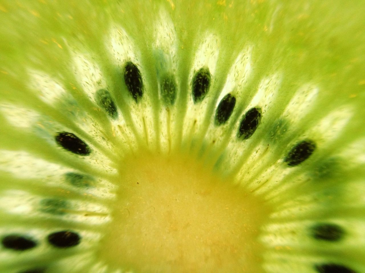 Detail of kiwi fruit